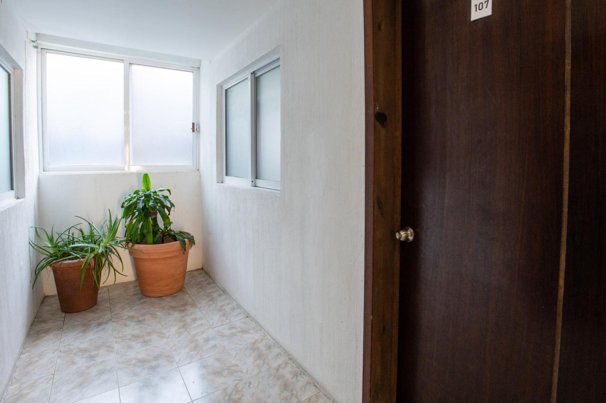 Hotel Turquesa Playa del Carmen Eksteriør billede